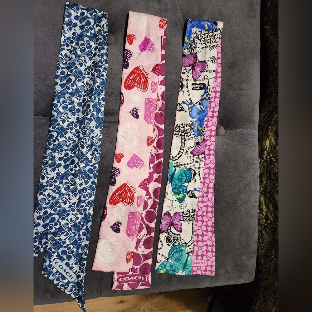 Coach Pony Scarves